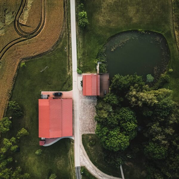 VIESU NAMS - DABAICĒNI